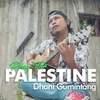 About Pray For Palestine Song