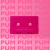 About Pum Pum Song