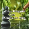 About Música Relajante Con Sonidos De Agua Song