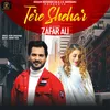 About Tere Shehar Song