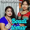 About Boudi Tomar Song