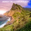 Sonido De La Naturaleza