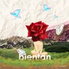 About Bientan Song