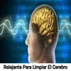 Relajante Para Limpiar El Cerebro