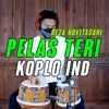 About Pelas Teri Indonesian Song