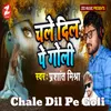 About Chale Dil Pe Goli Song
