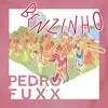 About Benzinho Song