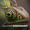 Sguardi dissonanti