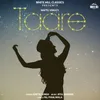 About Taare Song