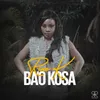 About Ba'o kosa Song