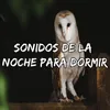 Sonidos De La Noche Para Dormir