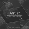 About Feel It Song