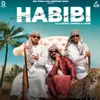 About Habibi Song