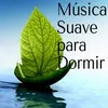 Música para Niños