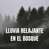 Lluvia Cayendo