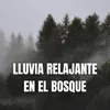 About Suave Lluvia Song