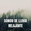 Sonidos de Lluvia Fuerte