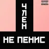 About Член не пенис! Song