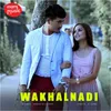 About Wakhalnadi Khalli Song