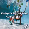 About Enganchado De Puro Perreo 2021 Song