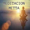 About Meditación Song