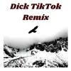 About Dick TikTok Remix Song