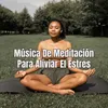 Música De Meditación Para Aliviar El Estres