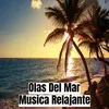 Olas Del Mar Música Relajante