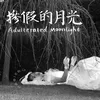 About Adulterated Moonlight Song