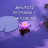 Meditación Trascendental