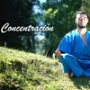 Música Para Meditación Profunda