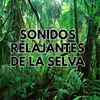 Sonido ambiental relajado