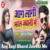 About Aag Lagi Bharal Jawani Me Song