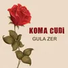 Gula Zer