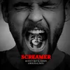 About Screamer Song
