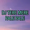 DJ Tere Mere - Pale Pale