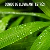 About Sonido De Lluvia Anti estrés Song