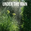 About Under the rain Song