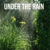 Under the rain