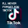 About I'll Never Forget You - TikTok Song