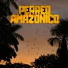 About Perreo amazónico Song