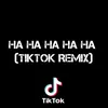 About Ha Ha Ha Ha Ha - (TikTok Remix) Song