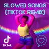 Slowed Songs (TikTok Remix)