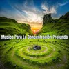 About Musica Para La Concentración Profunda Song