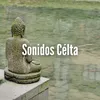 Sonido Céltica