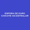 Vaqueiro Curtição