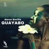 About Guayabo Song