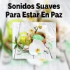 Música Suave para Posturas de Yoga