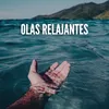 Ondas Que Se Estrellan Suavemente