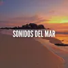 About Sonidos del Mar Sin Musica Song